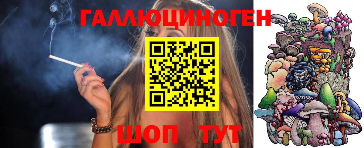 Тамбов  Галлюциногенные грибы мухоморы  Вход с VPN 